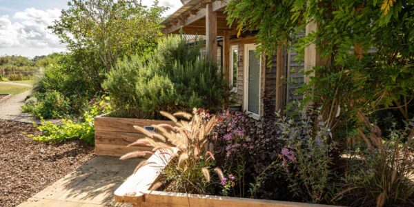 Accessible garden with wooden raised beds filled with colourful wildlife-friendly and sensory planting. Accessible wood clad outbuildings in the background.